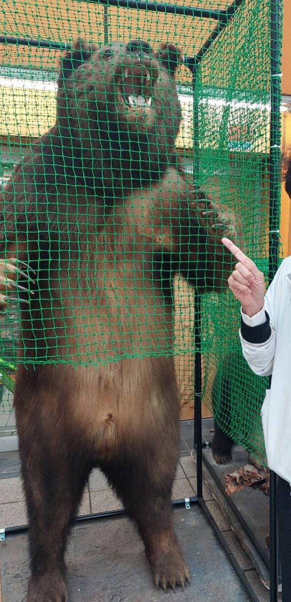 金のスポット価格上昇を示すグラフ